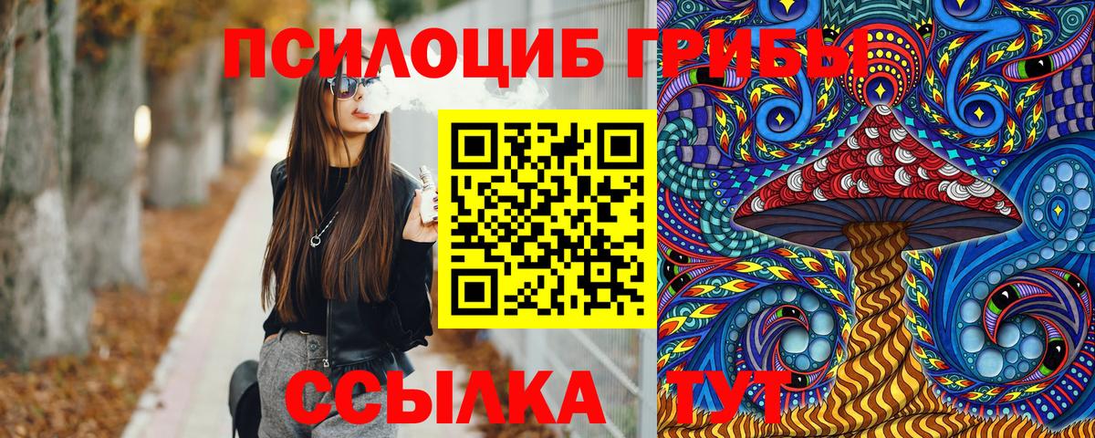 Галлюциногенные грибы Cubensis Сыктывкар