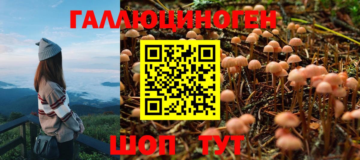 Псилоцибиновые грибы GOLDEN TEACHER  цена   Галлюциногенные грибы Cubensis  Сыктывкар  Вход с VPN 